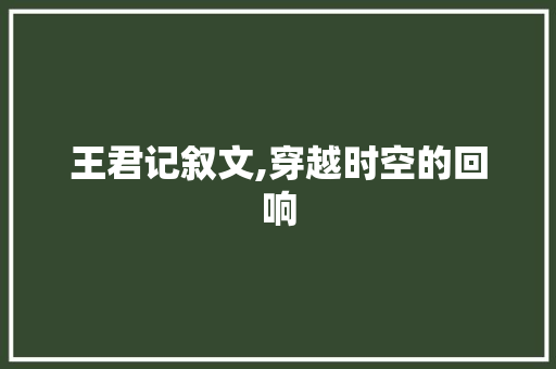 王君记叙文,穿越时空的回响