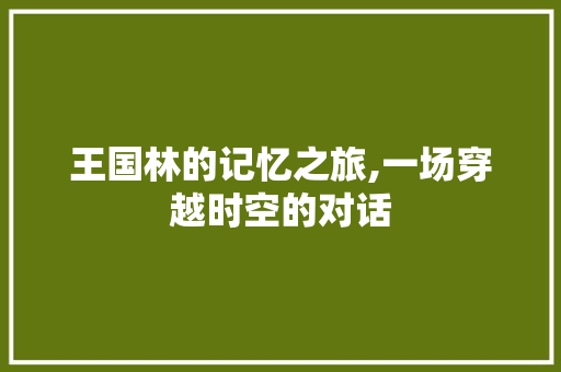 王国林的记忆之旅,一场穿越时空的对话