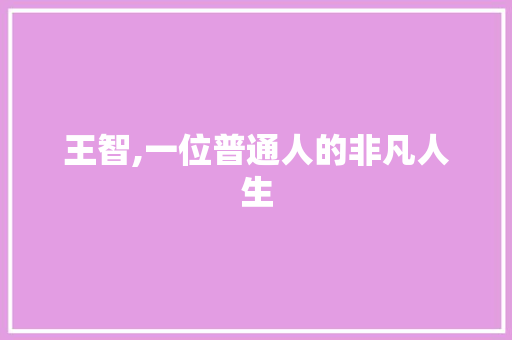 王智,一位普通人的非凡人生