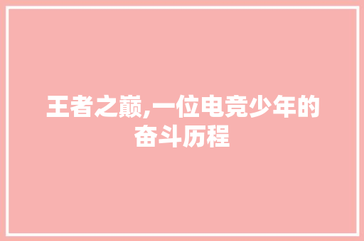 王者之巅,一位电竞少年的奋斗历程