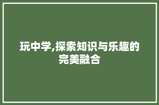 玩中学,探索知识与乐趣的完美融合