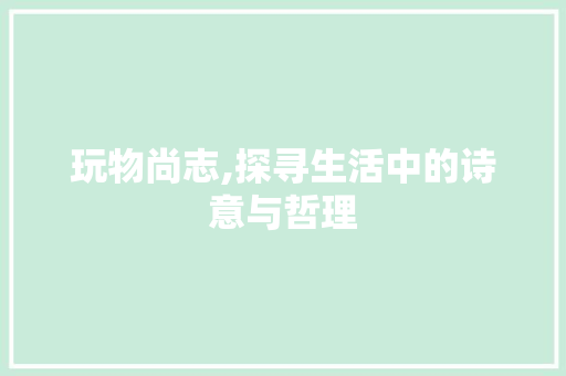 玩物尚志,探寻生活中的诗意与哲理