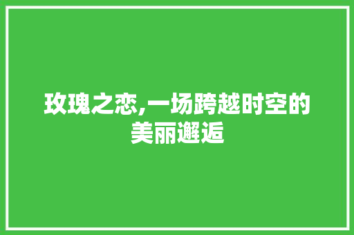 玫瑰之恋,一场跨越时空的美丽邂逅