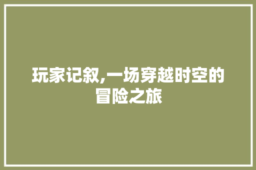 玩家记叙,一场穿越时空的冒险之旅