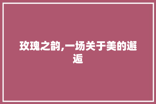 玫瑰之韵,一场关于美的邂逅