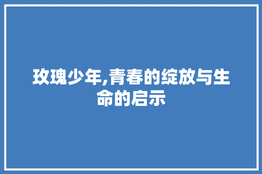 玫瑰少年,青春的绽放与生命的启示