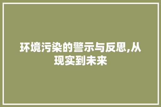 环境污染的警示与反思,从现实到未来