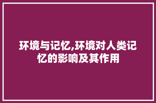 环境与记忆,环境对人类记忆的影响及其作用