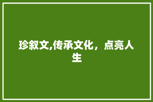 珍叙文,传承文化，点亮人生