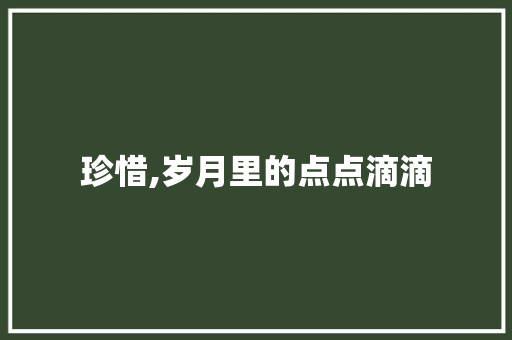 珍惜,岁月里的点点滴滴