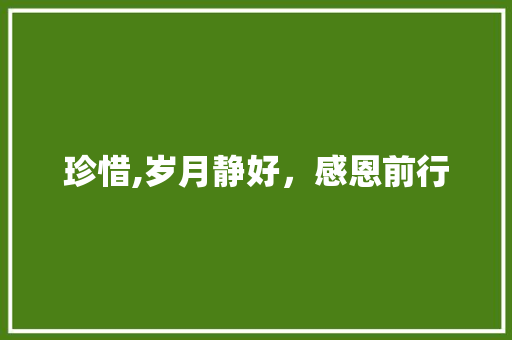 珍惜,岁月静好，感恩前行