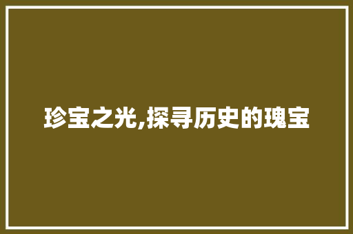 珍宝之光,探寻历史的瑰宝