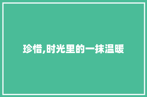 珍惜,时光里的一抹温暖