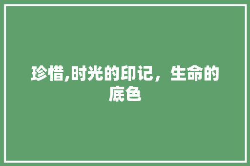 珍惜,时光的印记，生命的底色