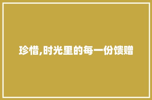 珍惜,时光里的每一份馈赠