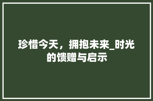 珍惜今天，拥抱未来_时光的馈赠与启示