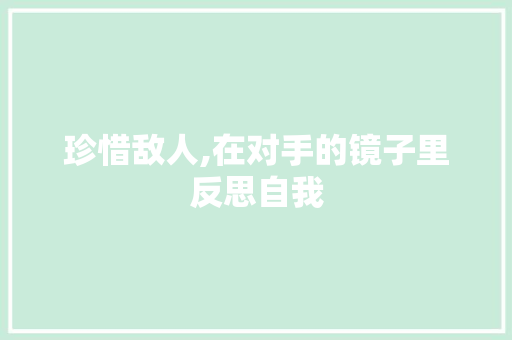 珍惜敌人,在对手的镜子里反思自我