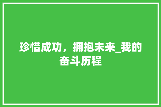 珍惜成功，拥抱未来_我的奋斗历程