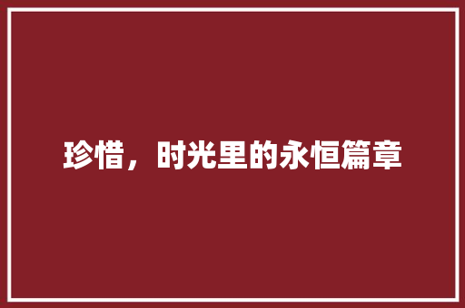 珍惜，时光里的永恒篇章