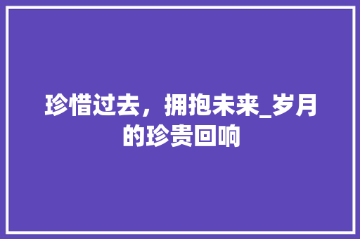 珍惜过去，拥抱未来_岁月的珍贵回响