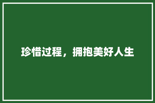 珍惜过程，拥抱美好人生