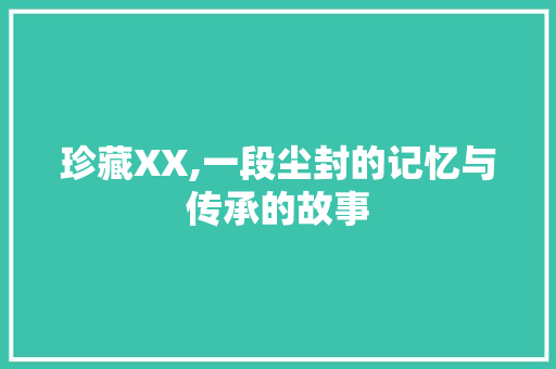 珍藏XX,一段尘封的记忆与传承的故事