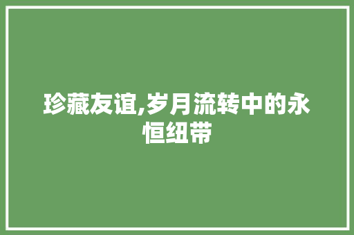 珍藏友谊,岁月流转中的永恒纽带