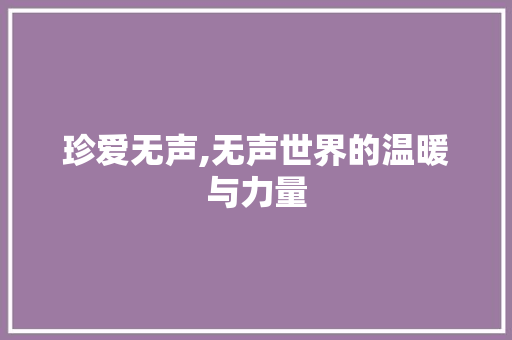 珍爱无声,无声世界的温暖与力量