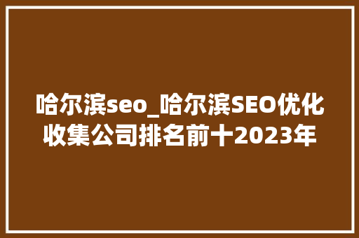 哈尔滨seo_哈尔滨SEO优化收集公司排名前十2023年最新