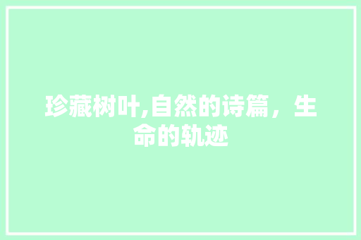 珍藏树叶,自然的诗篇，生命的轨迹