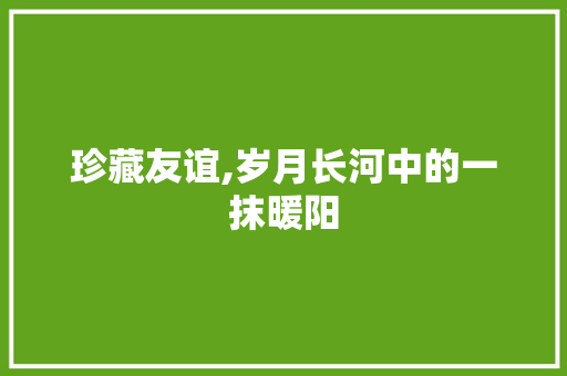 珍藏友谊,岁月长河中的一抹暖阳