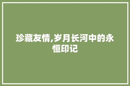 珍藏友情,岁月长河中的永恒印记