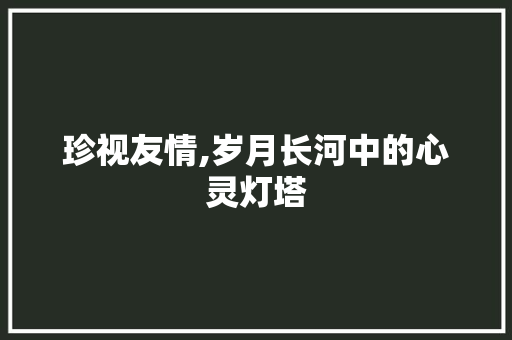 珍视友情,岁月长河中的心灵灯塔