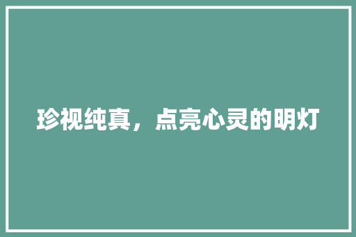 珍视纯真，点亮心灵的明灯