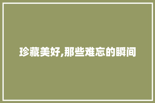 珍藏美好,那些难忘的瞬间