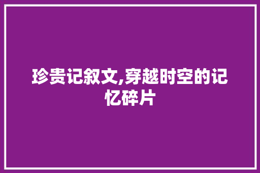 珍贵记叙文,穿越时空的记忆碎片