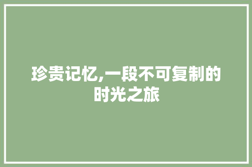 珍贵记忆,一段不可复制的时光之旅