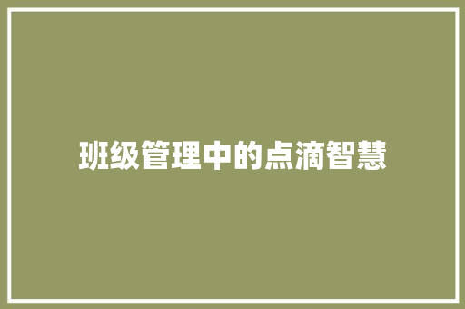 班级管理中的点滴智慧