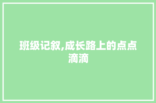 班级记叙,成长路上的点点滴滴