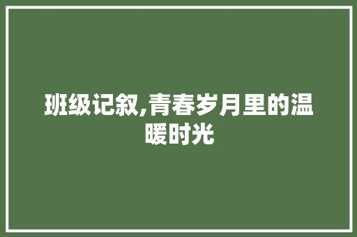 班级记叙,青春岁月里的温暖时光