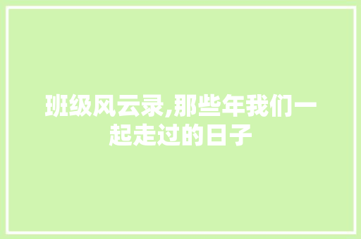 班级风云录,那些年我们一起走过的日子