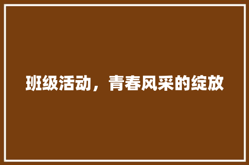 班级活动，青春风采的绽放