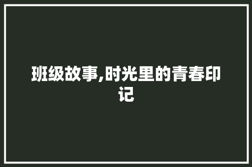 班级故事,时光里的青春印记