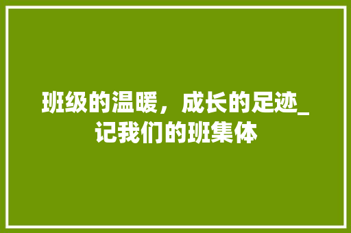 班级的温暖，成长的足迹_记我们的班集体