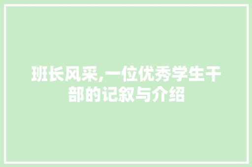 班长风采,一位优秀学生干部的记叙与介绍