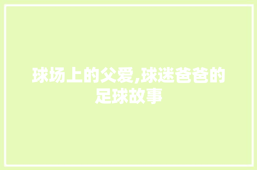 球场上的父爱,球迷爸爸的足球故事