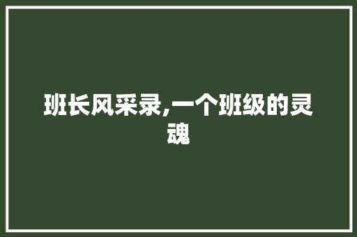 班长风采录,一个班级的灵魂