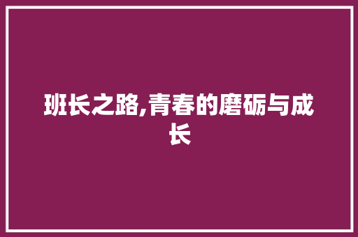 班长之路,青春的磨砺与成长