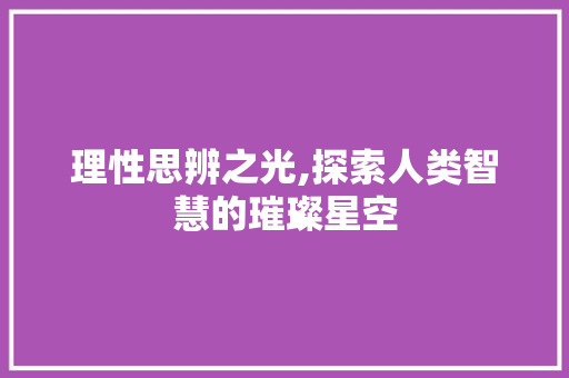 理性思辨之光,探索人类智慧的璀璨星空