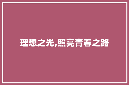 理想之光,照亮青春之路